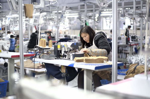 服裝輔料制造業(yè)沖刺開門紅，企業(yè)生產(chǎn)忙助力經(jīng)濟(jì)穩(wěn)增長(zhǎng)